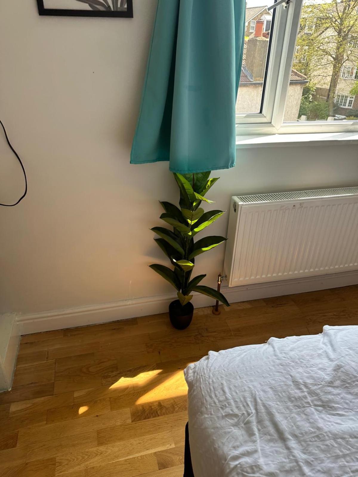 Tulse Tavern West Dulwich Экстерьер фото
